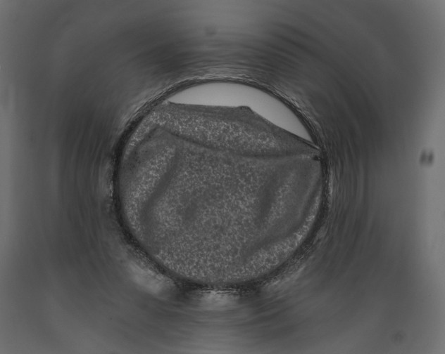 X0000088890303200707061438