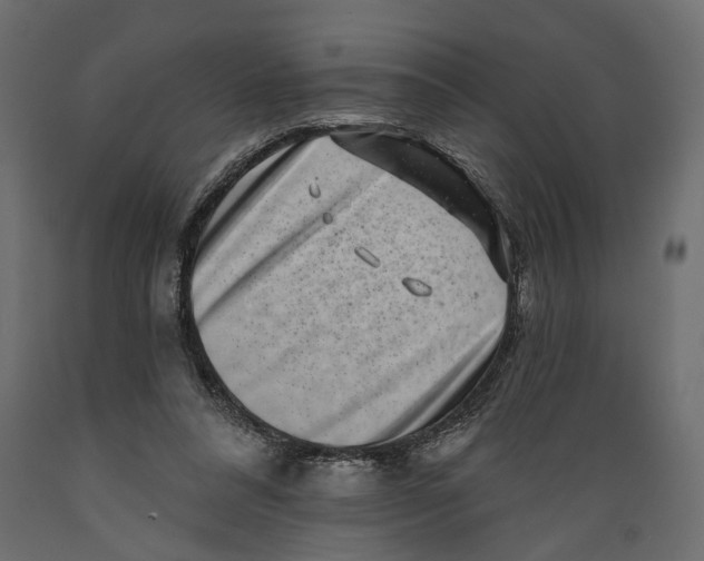 X0000088890304200707061438