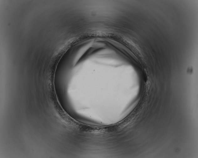 X0000088890306200707061438