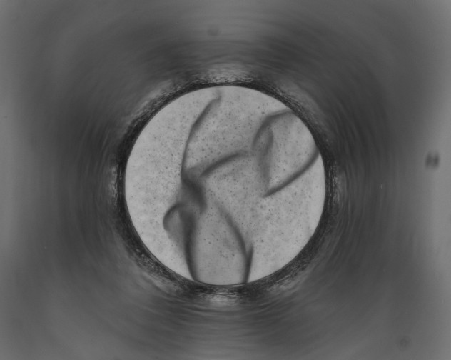 X0000088890308200707061438