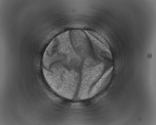 X0000088890309200707061438