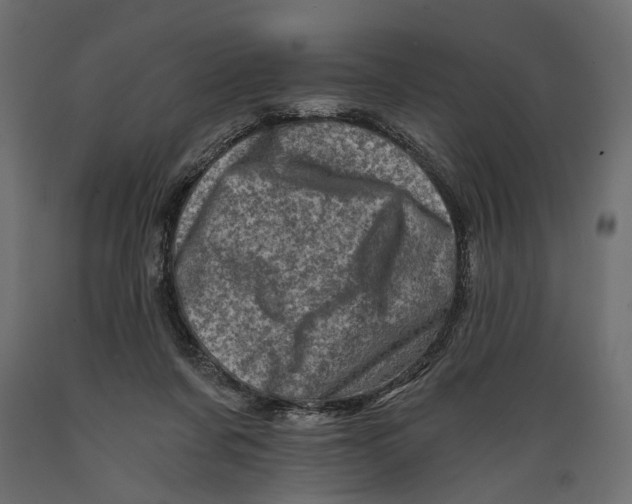 X0000088890311200707061438