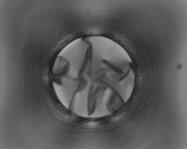 X0000088890312200707061438