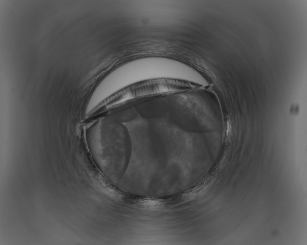 X0000088890313200707061438