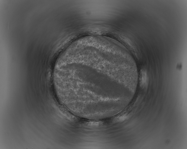 X0000088890314200707061438