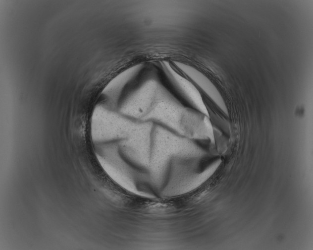 X0000088890315200707061438