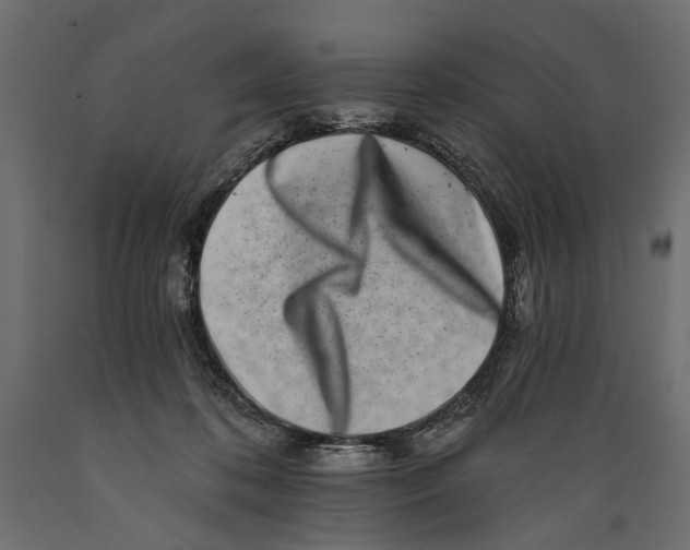 X0000088890316200707061438