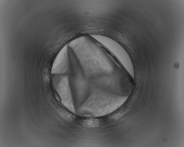 X0000088890317200707061437