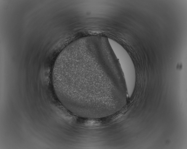X0000088890319200707061437