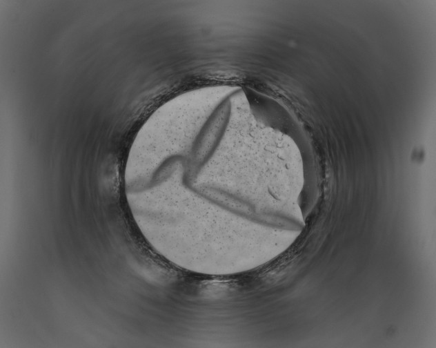 X0000088890320200707061437