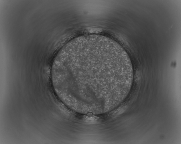 X0000088890321200707061437