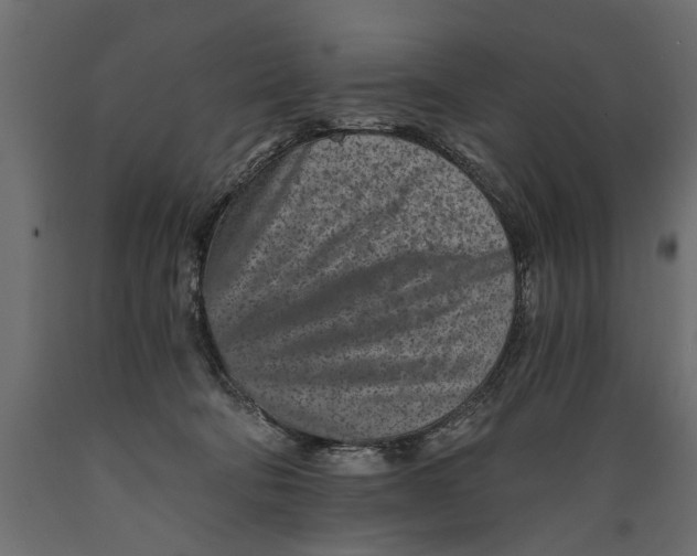 X0000088890322200707061437