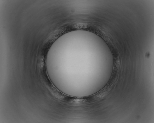 X0000088890323200707061437