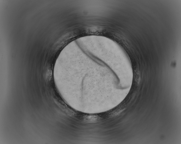 X0000088890324200707061437
