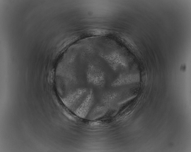 X0000088890325200707061437