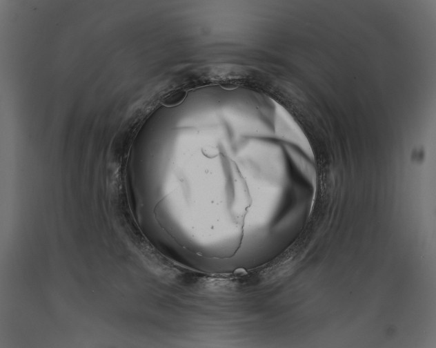 X0000088890327200707061437