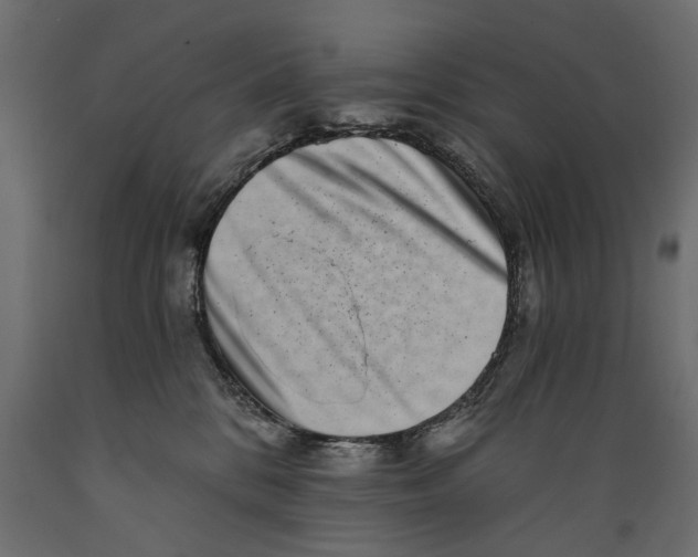 X0000088890328200707061437
