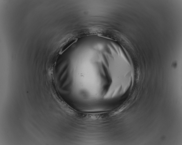 X0000088890329200707061437