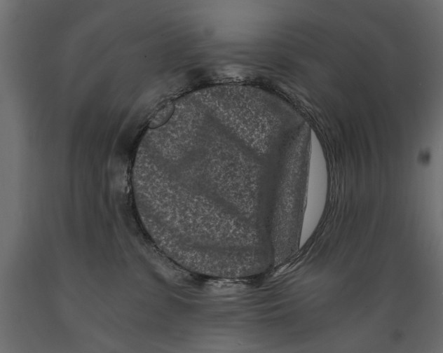 X0000088890331200707061437