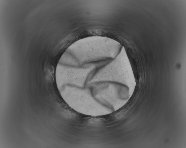 X0000088890332200707061437