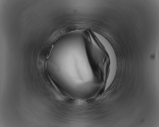 X0000088890333200707061437