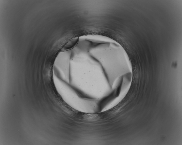 X0000088890334200707061437