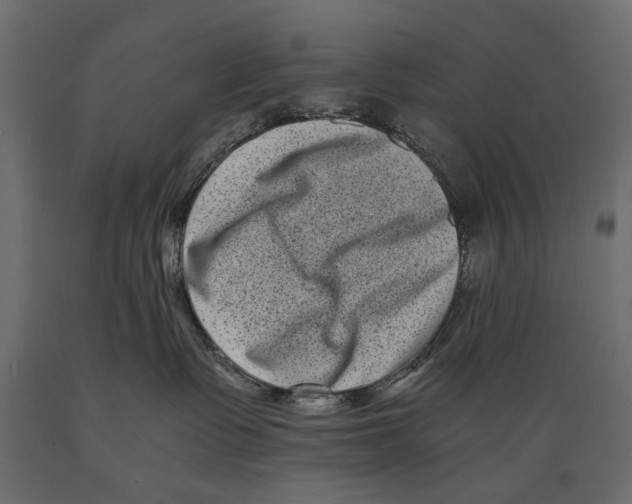 X0000088890335200707061437