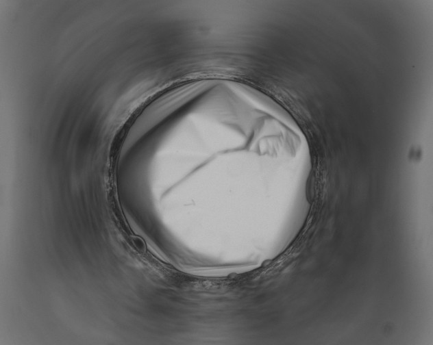 X0000088890338200707061437