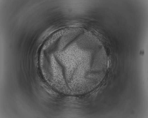 X0000088890339200707061437