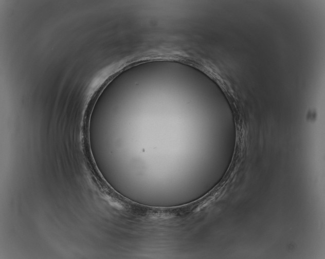 X0000088890340200707061437