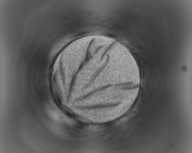 X0000088890341200707061437