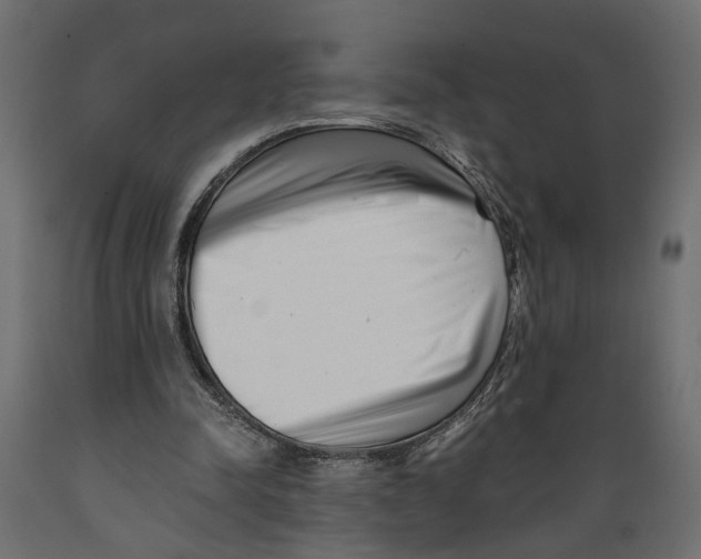 X0000088890342200707061437