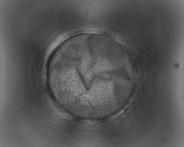 X0000088890343200707061437