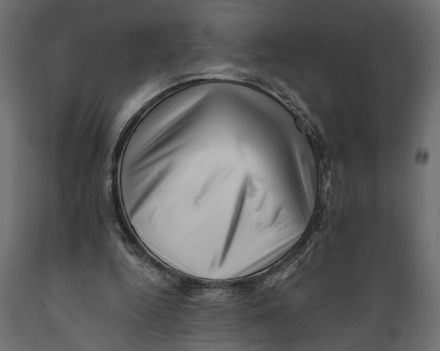 X0000088890344200707061437