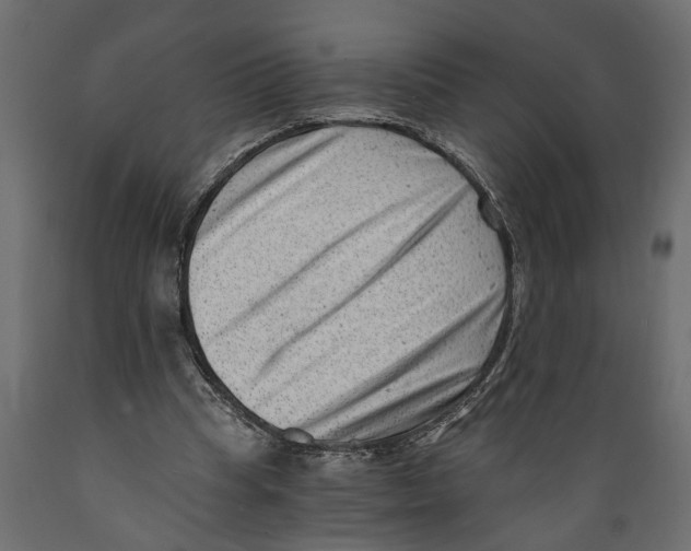X0000088890345200707061437