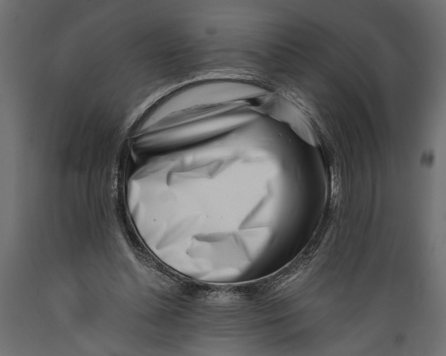 X0000088890348200707061437