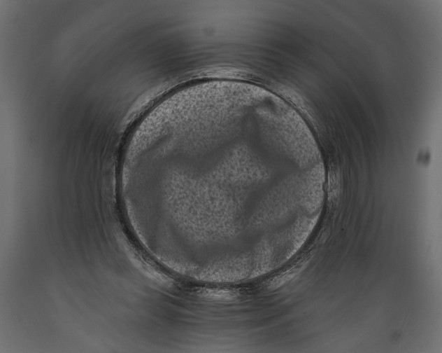 X0000088890349200707061437