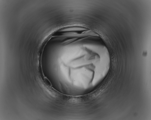 X0000088890350200707061437