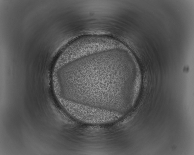 X0000088890351200707061437