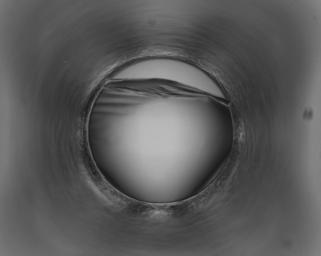 X0000088890352200707061437