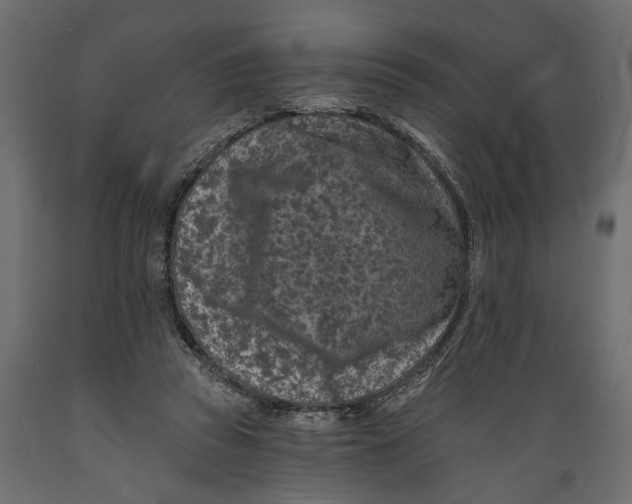 X0000088890353200707061437