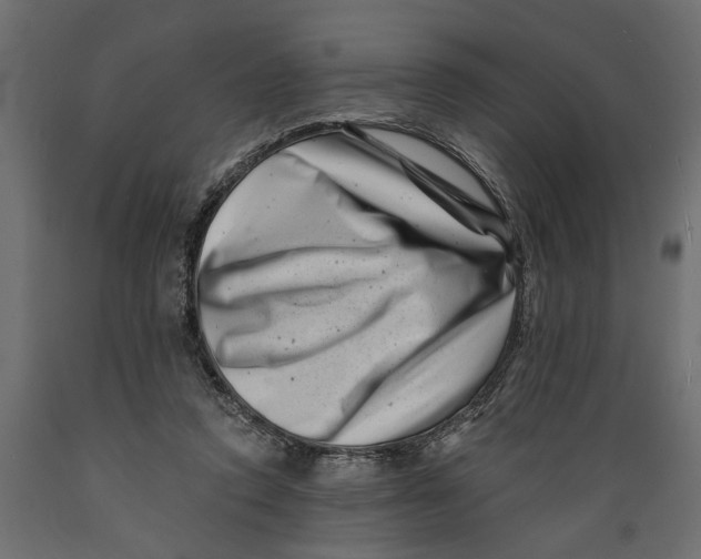 X0000088890354200707061437
