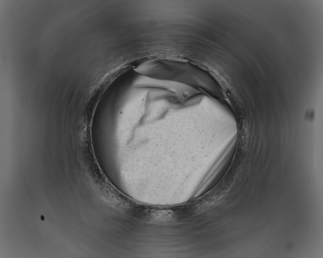 X0000088890355200707061437