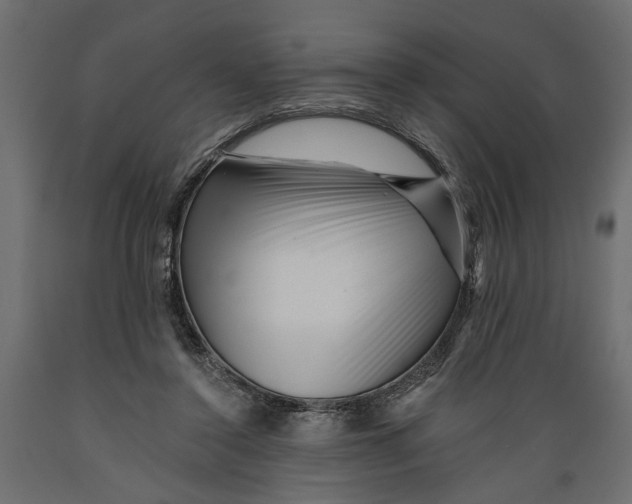 X0000088890356200707061437