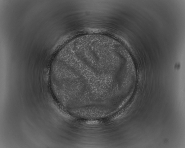 X0000088890357200707061437