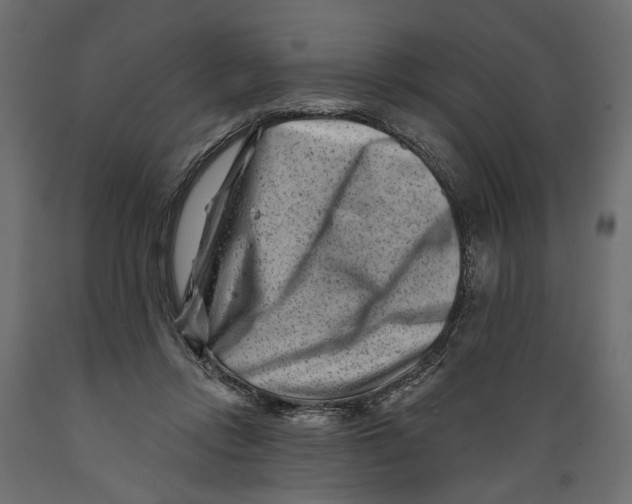 X0000088890358200707061437