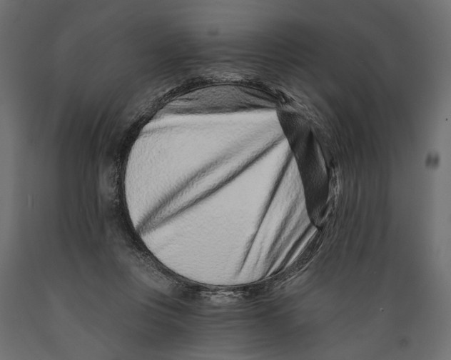 X0000088890359200707061437