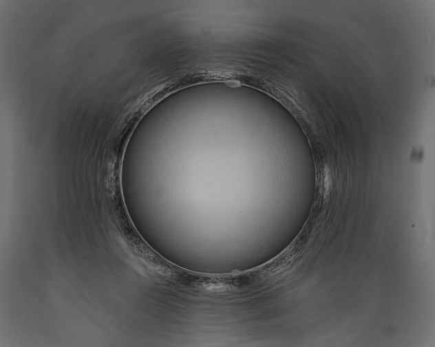 X0000088890360200707061437
