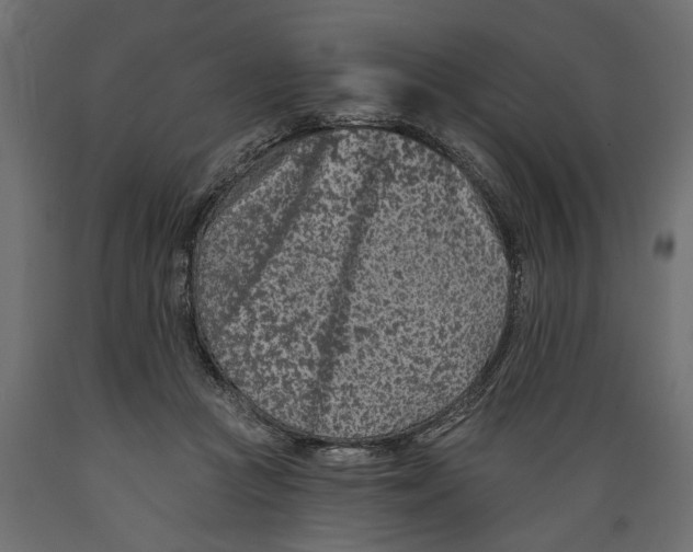 X0000088890361200707061437