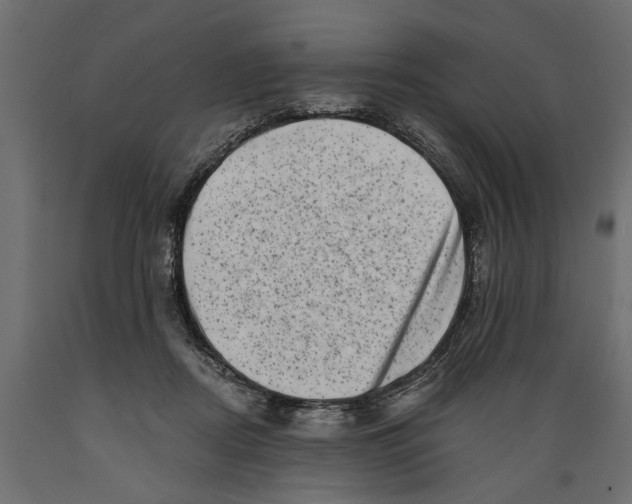 X0000088890362200707061437